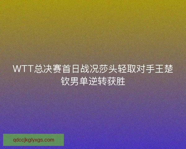 WTT总决赛首日战况莎头轻取对手王楚钦男单逆转获胜