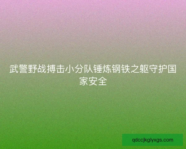 武警野战搏击小分队锤炼钢铁之躯守护国家安全