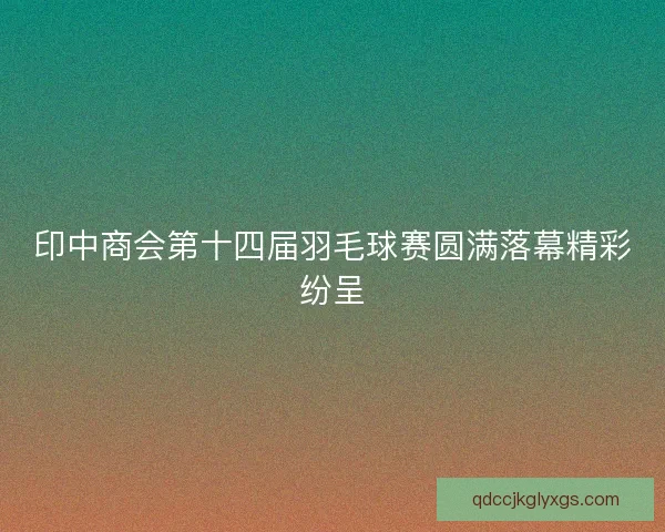 印中商会第十四届羽毛球赛圆满落幕精彩纷呈