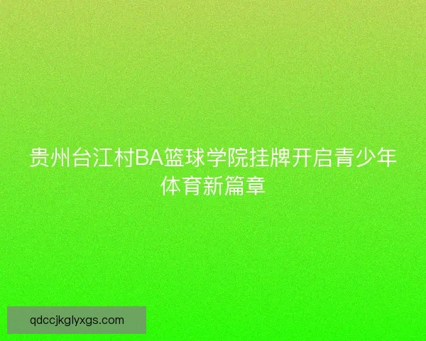 贵州台江村BA篮球学院挂牌开启青少年体育新篇章